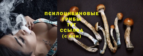 mdpv Белоозёрский